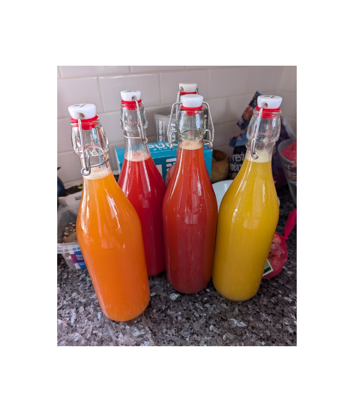 wild sodas: peach, mango, and strawberry