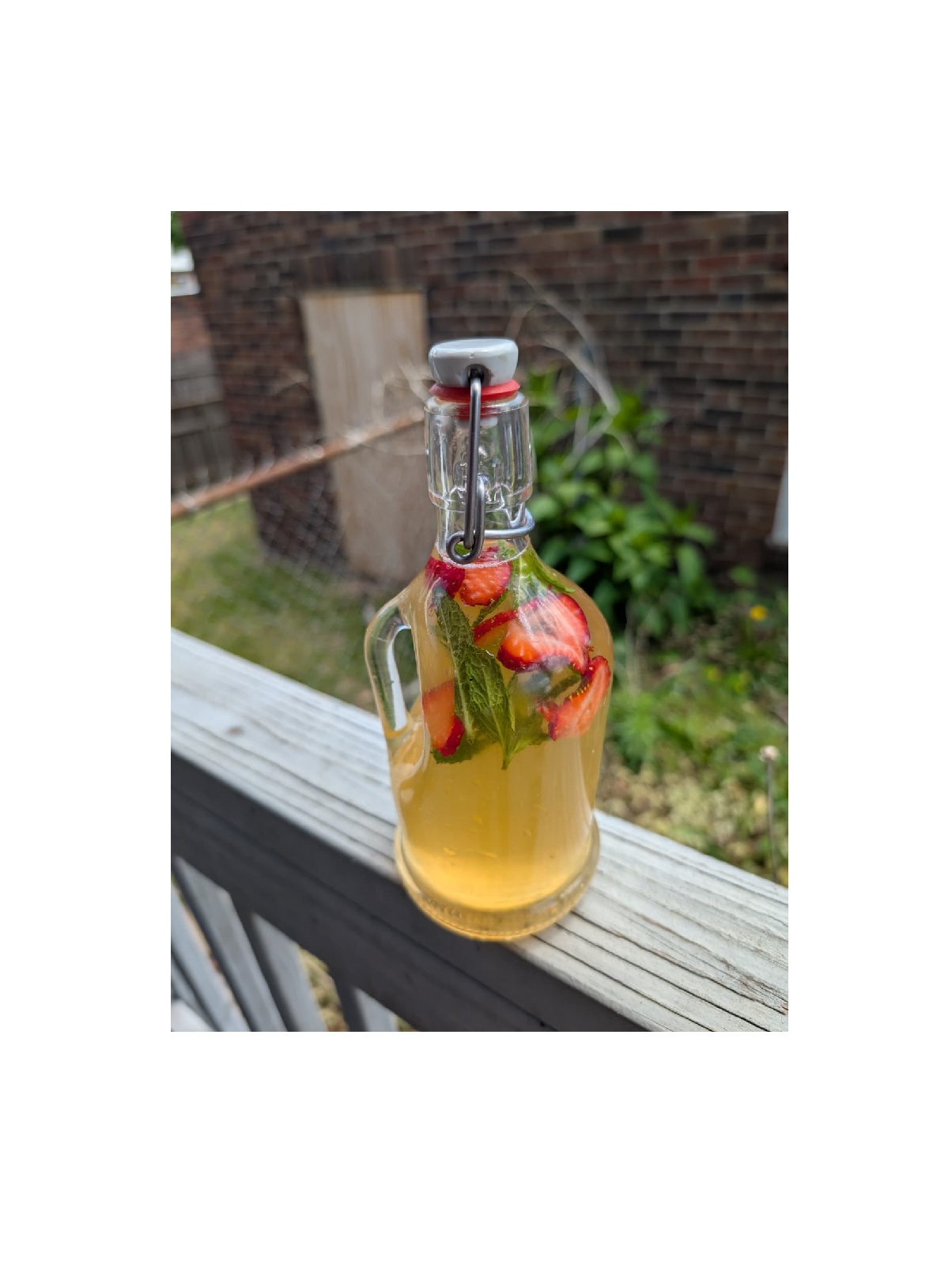 wild sodas: strawberry mint